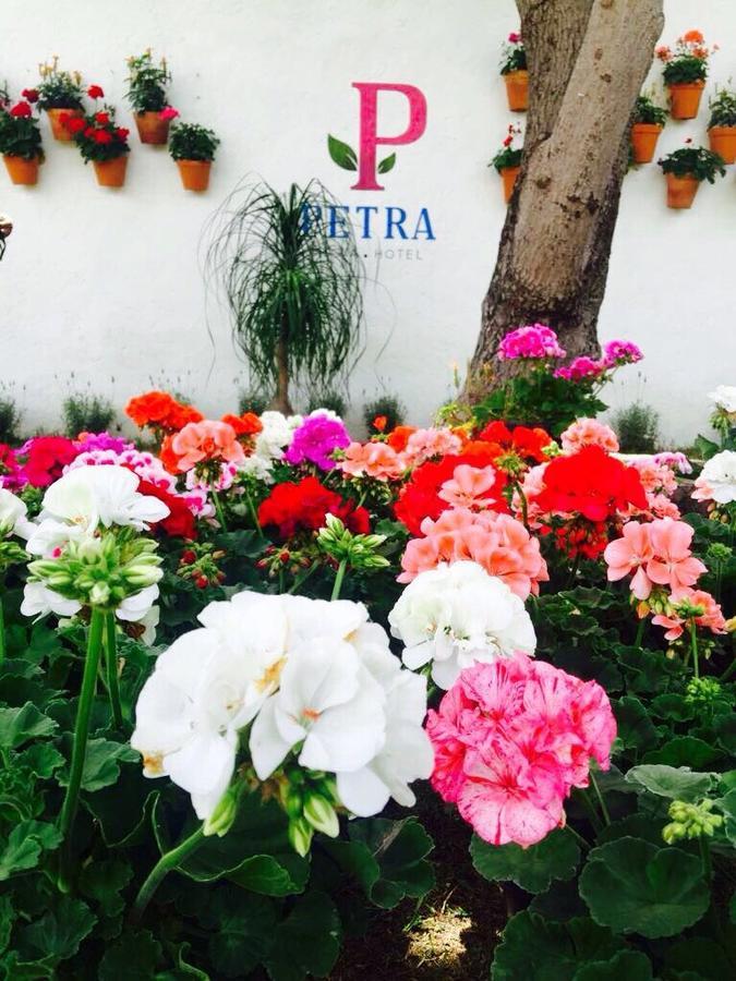 Hotel Petra San Miguel de Allende Exteriör bild
